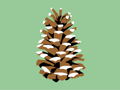 Pine Cone adobe carolina color design dribbble flat graphic design illustrator nature nc north carolina pine cone pinecone simple vector wildlife