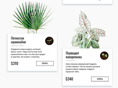 Gallery. Online seeds store desiginspiration design landing page minimal plants shop design store web