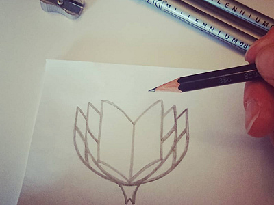 Fynbos sketch book brand flower logo pencil protea publisher sketch