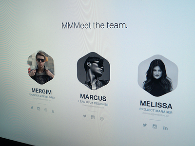 MMMeet the team