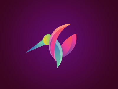 Bird logo bird branding color colorful logo design modern