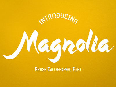 Magnolia Callygraphic Font apparel beauty branding brushfont calligraphic callygraphy clothing design fashion graffiti handdrawn lettering logotype magazine modern brush font poster scriptfont typeface typography