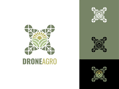 Drone Argo