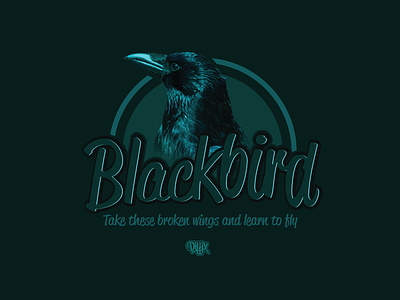 Blackbird "Take these broken wings and learn to fly" adobeillustrator artist blackbird calligraphy design diffix digital digital calligraphy dribbble illustration logo typography vector
