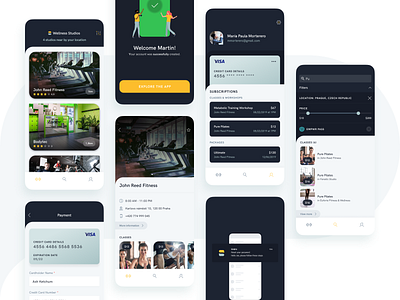 Sindro - Behance Case Study