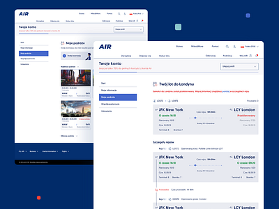 Airlines website