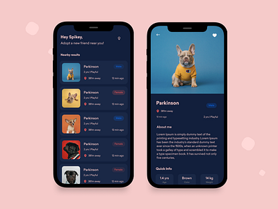 Pet Adoption App by Spikey Sanju on Dribbble