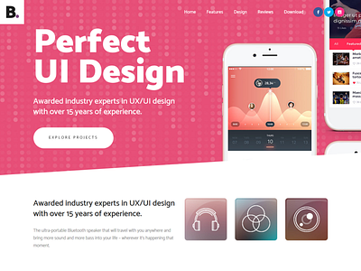 Ux/Ui Design Website By Mahmudparvez