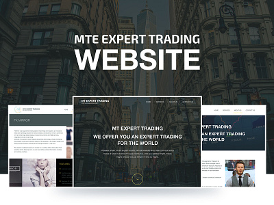 MTE Expert Trading website