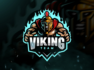 Viking team