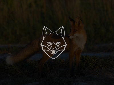 Fox Monogram logo