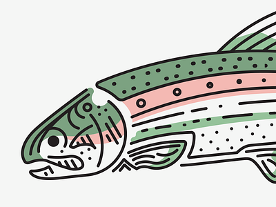 Rainbow Trout