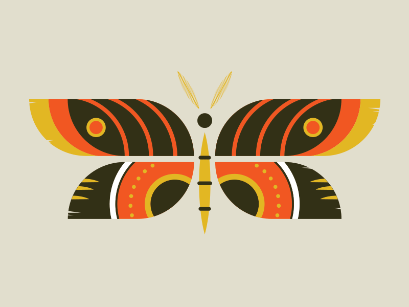 Moth bold bold color circles fly hatch illustration insect moth pattern retro