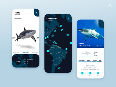 Shark Tracker 🦈 3d app flat design marine mobile app ocean shark tracker app ui ux xd design
