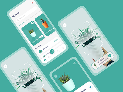 Buy Flower the fastest way ever design design app product design ui ui ux ui ux design uidesign uiux ux