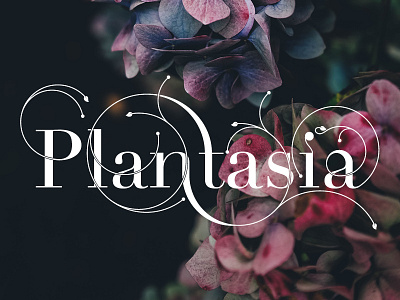 Plantasia design flowers font graphic logotype stypeface swashes typedesign typography