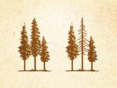 Deadwood Trees branding