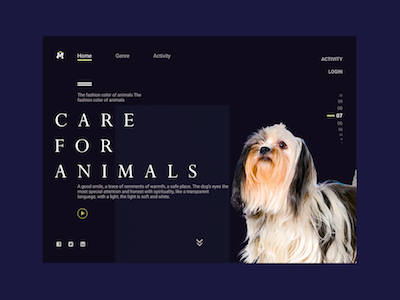 Animal Care animals