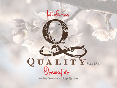 Quality Decorative Font Duo beauty beer cosmetic decorative font duo handwriting lettering ligature logos serif signature type logo