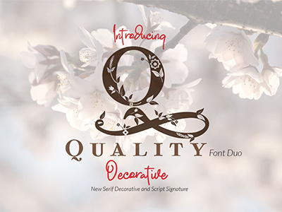 Quality Decorative Font Duo