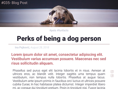 Daily UI Design Challenge- #035 Blog Post