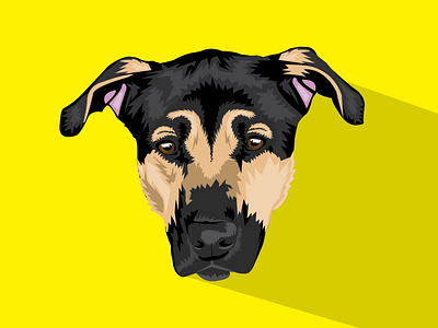 Zoey dogs drawing faces german shepherd illustration illustrator portraits vector yellow