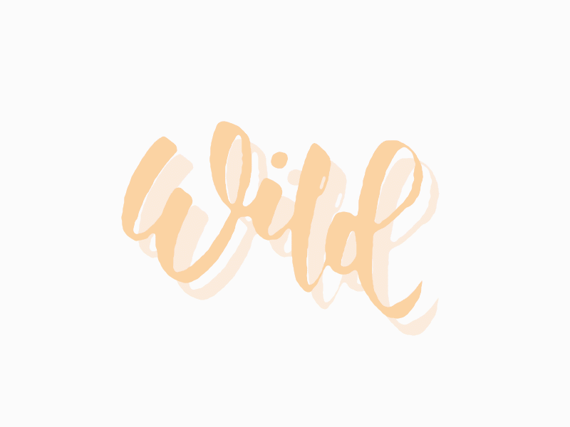 Wild 2d animation after effects calligraphy hand lettering