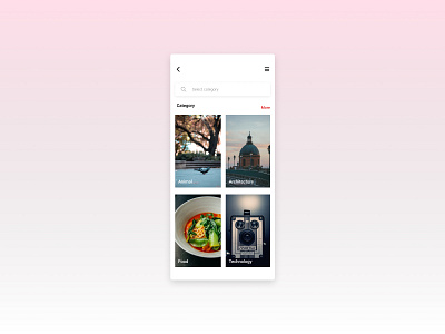 Daily UI Challenge:099 Category