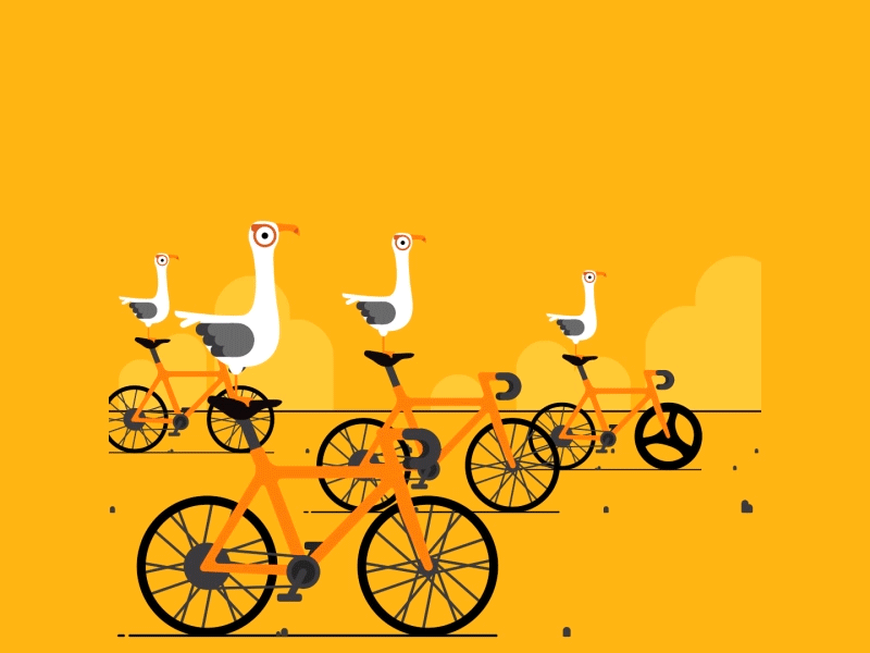 Seagulls On Bicycles animation bicycle cycle cycling flat design loop motion design motion graphics seagull shore vector