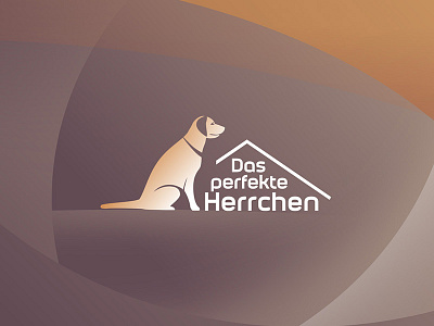 BR TV - Das Perfekte Herrchen art direction broadcast design logo motion motion design