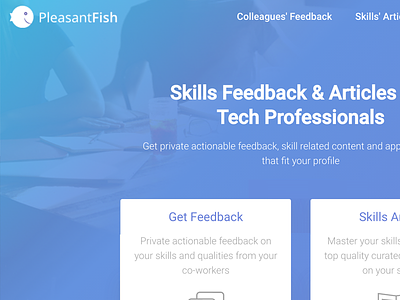 PleasantFish feedback jobs landing pleasantfish skills