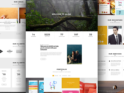 Alzak theme ui user experience user interface ux web web design