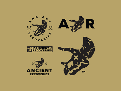 Ancient Recoveries : Logo Exploration ancientrecoveries dinos dinosaur dribbble fossil graphicdesign graphicdesigner logodesign logoexploration logoinspirations logos paleontology