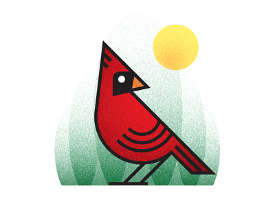 Cardinal bird cardinal design graphicdesign illustration texture vector