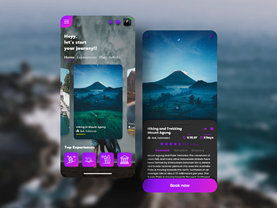 Travel Mobile App