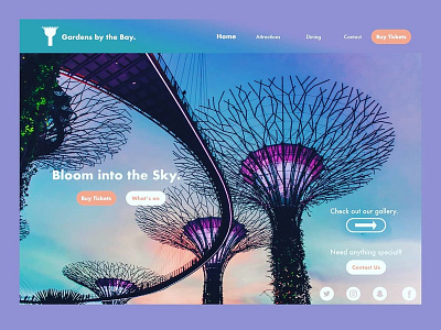 Bloom into the Sky design illustration ui ux webdesign