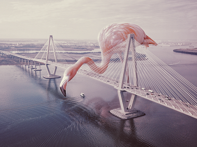 Flamingo over bridge