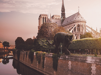 Parisian Panther