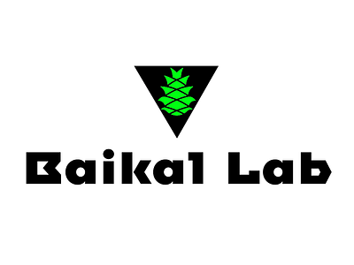 Baikal Lab logo concept branding logo logodesign logotype