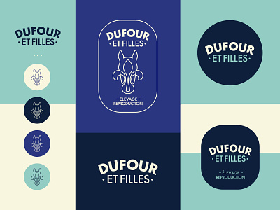 Dufour et Filles branding graphic design horse québec stallion vector