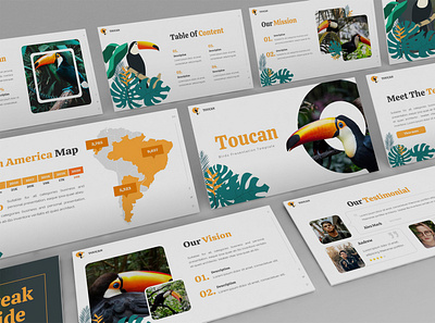 Toucan – Tropical Presentation Template abstract animal business presentation creative exotic forest jungle keynote template leaf lookbook minimal pitchdeck powerpoint template presentation proposal summer tropic tropical wildlife zoo