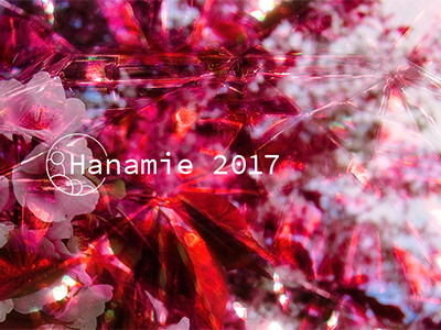 Hanamie 2017 design graphic