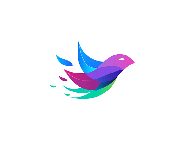 Bird Gradient 01