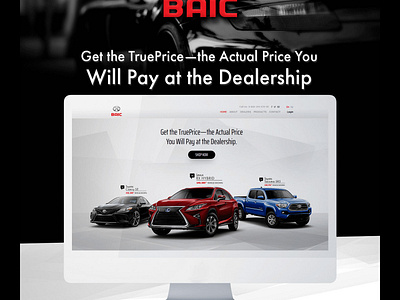 Baic Car Portal app illustration ui ux web website