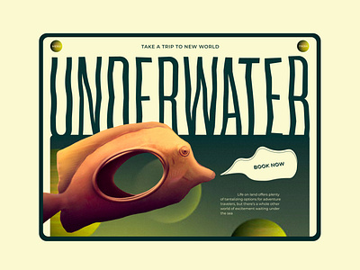 Concept Design for a Underwater Excursions design travel ui web webdesign