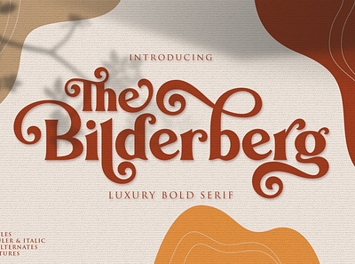 Bilderberg | Luxury Bold Serif casual