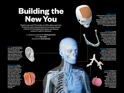 Bioengineered Organs Smithsonian 3d 3d modeling anatomy bioengineering biomedical illustration photoshop