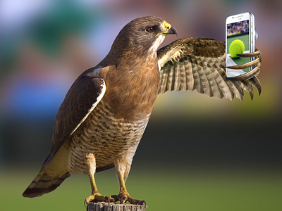 Samsung Hawkeye [Wimbledon Special] hawkeye photo manipulation s4 zoom samsung technology tennis wimbledon