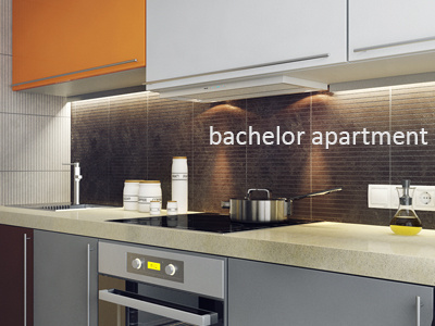 Bachelor apartment. Project 3d apartment interior kitchen v ray visualization