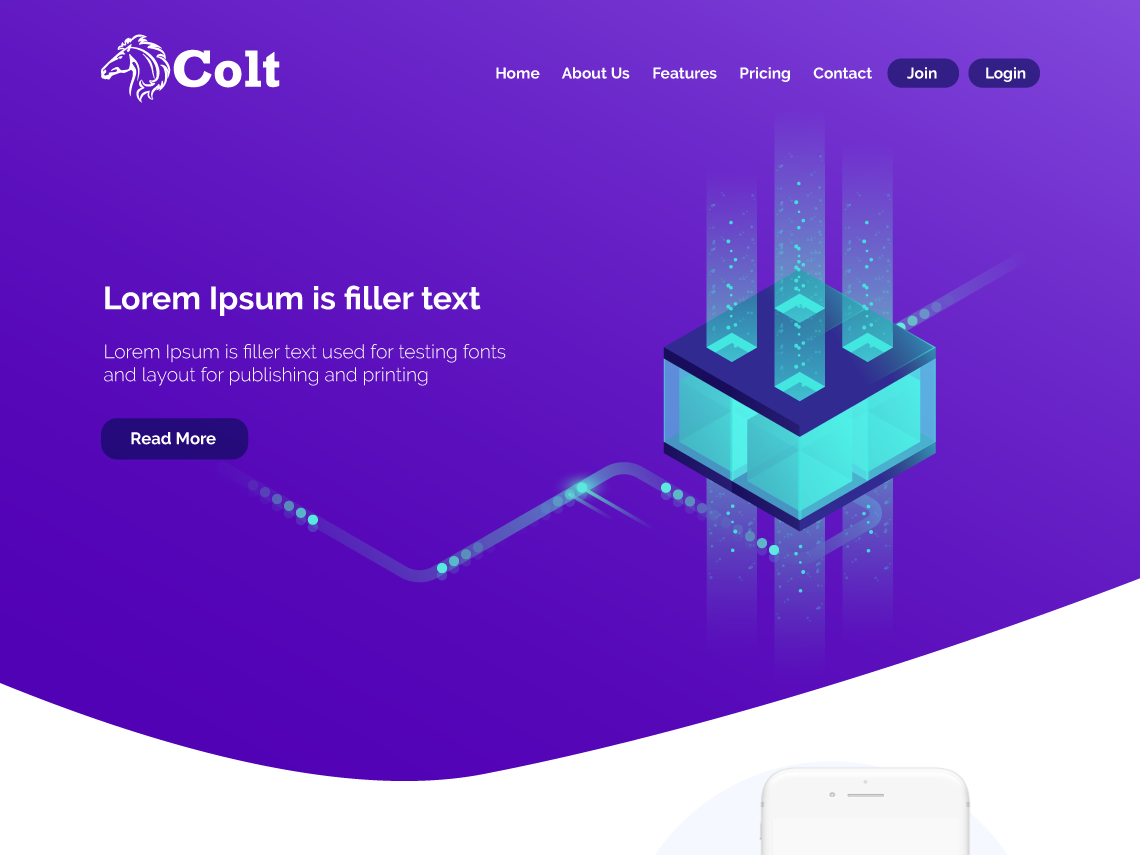 UI & UX for Payment Gateway Solutions by Nazmul Hoque on Dribbble